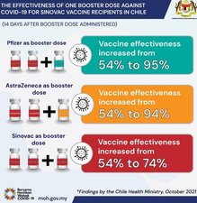  ������ ����� coronavac ���� ������ ���� �������� pfizer 