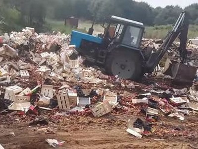 В РФ уничтожили вагон яблок и киви из Беларуси