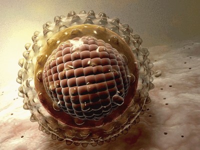 Вирусный гепатит С: пути заражения и способы лечения