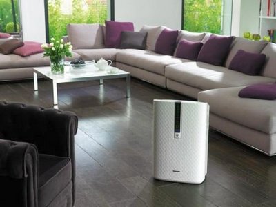Идеальный микроклимат в доме: выбираем увлажнителя воздуха