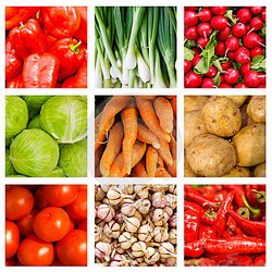 купить семена