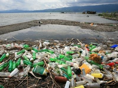 Найдены морские бактерии, которые поедают пластик