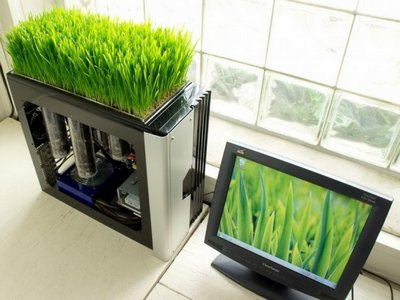 Спроектирован новый биокомпьютер с протеинами вместо электронов