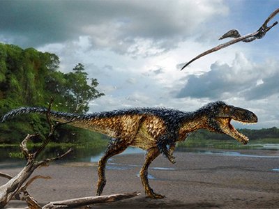 Ученые заявили об обнаружении нового вида динозавров