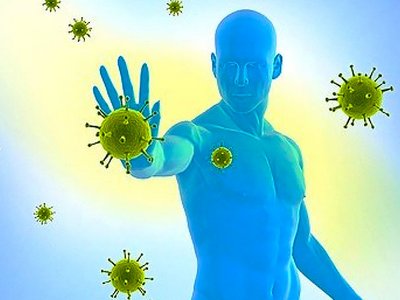 Укрепление иммунитета — залог крепкого здоровья