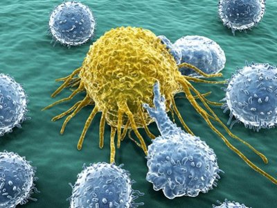 Раковые опухоли могут эксплуатировать здоровые клетки — ученые