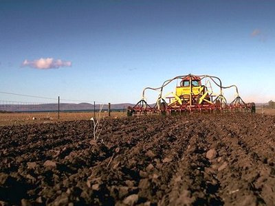 В Украине 25% сельхозземель обрабатывается незаконно — УКАБ