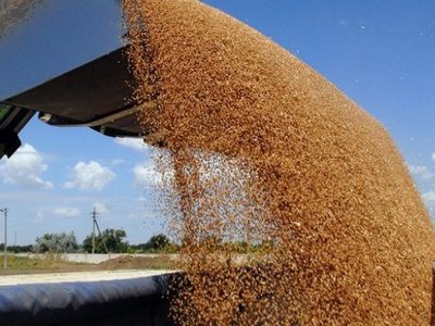 Украина установила рекорд экспорта зерновых