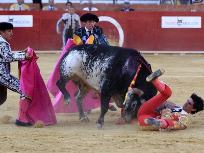 Впервые за 30 лет в Испании бык убил матадора во время корриды