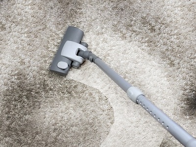 Тонкости уборки в доме: химчистка ковров
