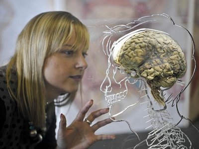 Ученые рассказали о причине превосходства человеческого мозга