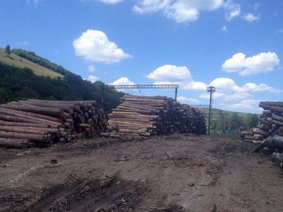 Генпрокурор Луценко показал фото мест вырубки лесов