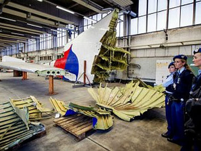 Нидерланды опубликовали новые документы по крушению самолета MH17