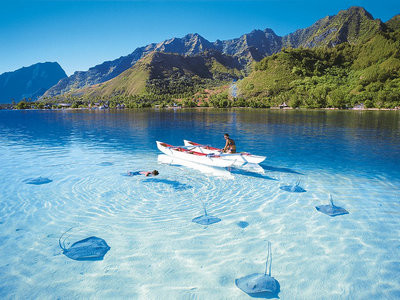 Незабываемый отдых в Шри-Ланке