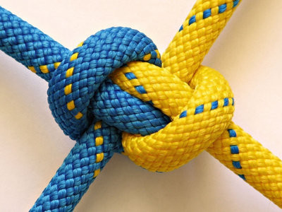 Организация «Украинцы разом»