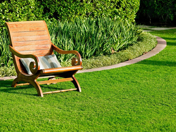 Создание красивого газона на участке