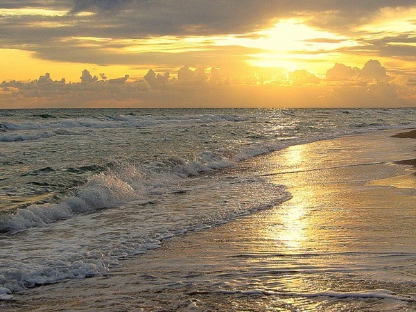 Летний отдых в Станице Благовещенской