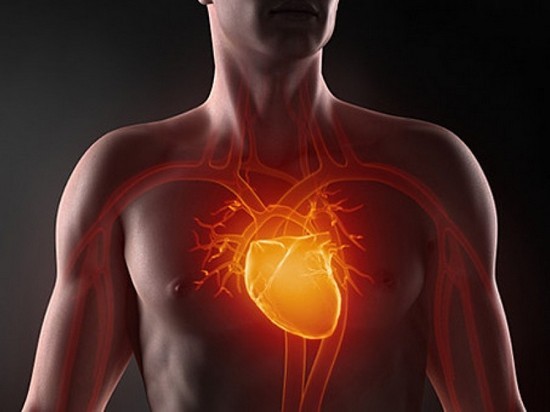 Как сохранить сердце здоровым: 5 рекомендаций экспертов