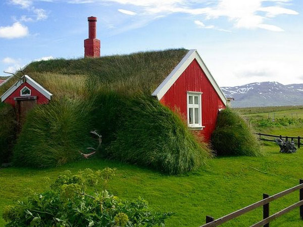 Названы самые здоровые и нездоровые страны в мире