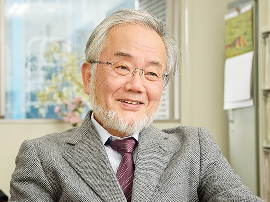 Нобелевская премия по медицине досталась ученому из Японии