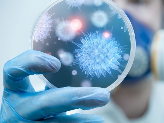 В Украину надвигается новый штамм гриппа — вирусолог