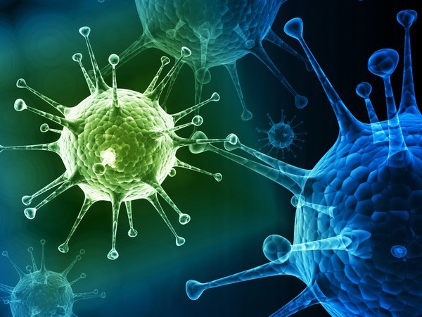 Вирус гриппа