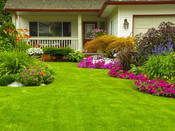 Благоустройство участка загородного дома: полезные советы