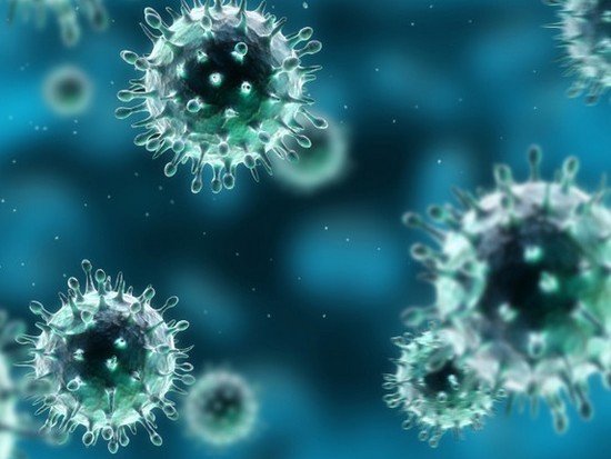 В Украине этой зимой будут свирепствовать 3 штамма вируса гриппа