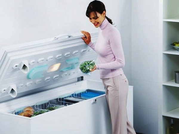 Морозильная камера: на что обратить внимание при выборе