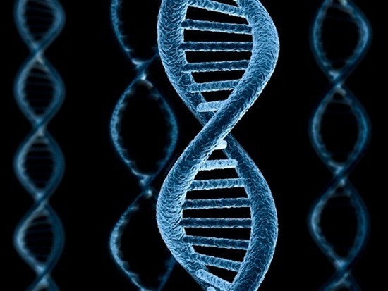 Витамины A и C способны очищать клеточную память