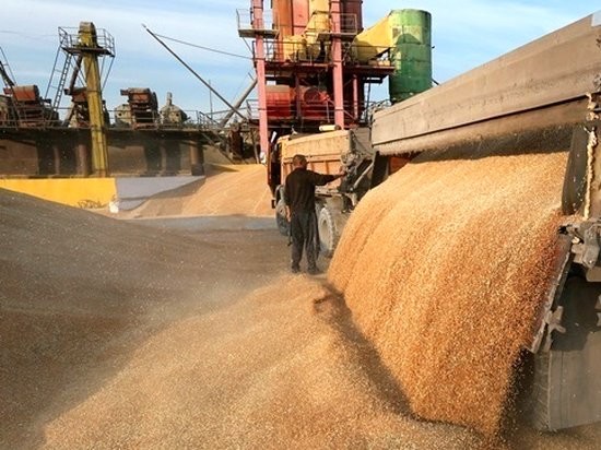Украина поставила антирекорд по поставкам агропродукции в Евросоюз