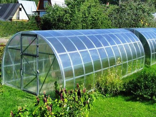 Как выбрать теплицу из поликарбоната?