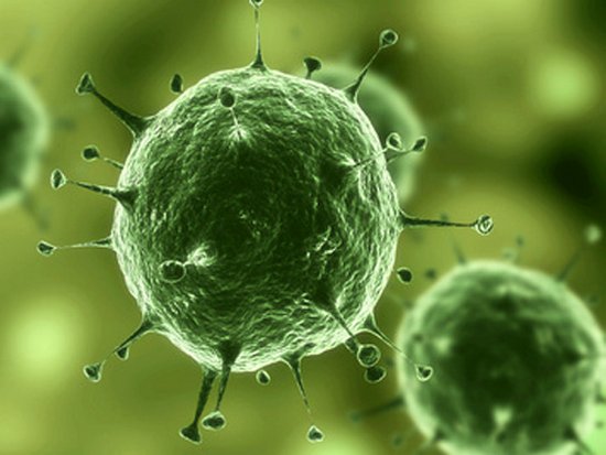 Исследователи создали искусственный вирус для борьбы с алкоголизмом