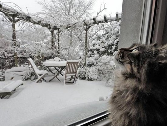 В Украину надвигается похолодание