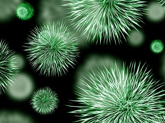 Ученые из Шотландии назвали вирусы, способные вызвать пандемию