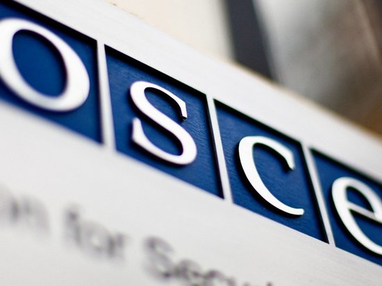 Генсек ОБСЕ констатировал раскол в организации из-за конфликта на Донбассе