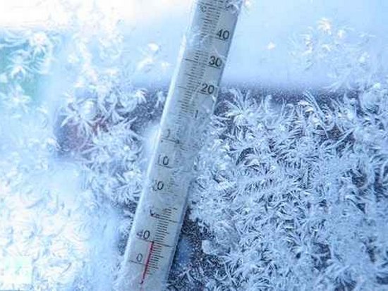 В Житомирской области насмерть замерзли 3 человека