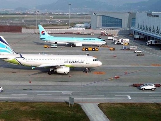 Десятки граждан РФ задержаны в аэропорту Сеула
