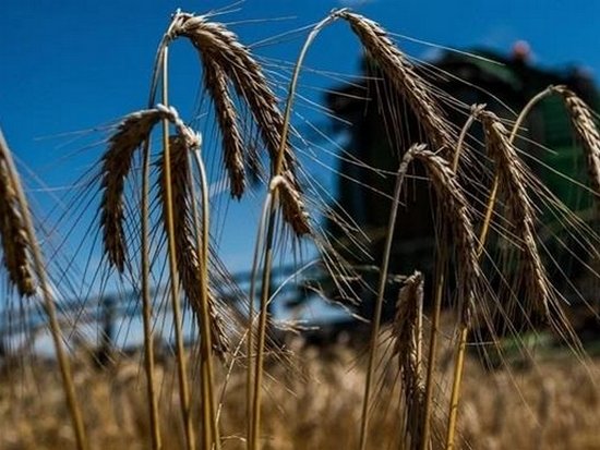В 2016 году Украина собрала рекордный урожай зерновых