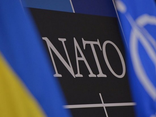 В АПУ исключили скорый референдум по НАТО