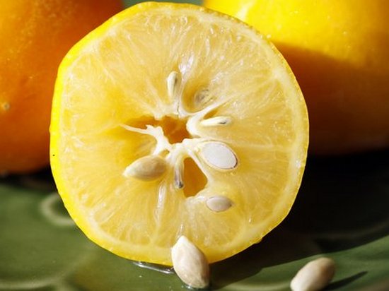 Какие фруктовые семечки полезны для здоровья