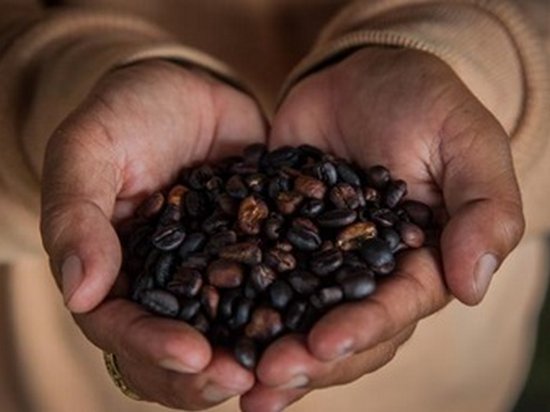Впервые в свей истории Бразилия импортирует вынуждена импортировать кофе