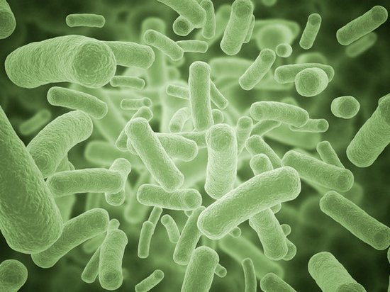 В ЕС медики бьют тревогу: супербактерии начали выходить из-под контроля