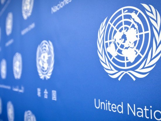 Шесть стран лишены права голоса в ООН из-за долгов