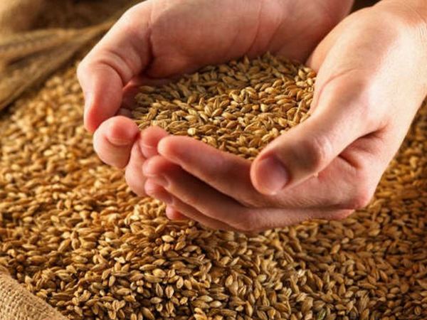 Услуги по хранению зерна от компании «Экопрод»