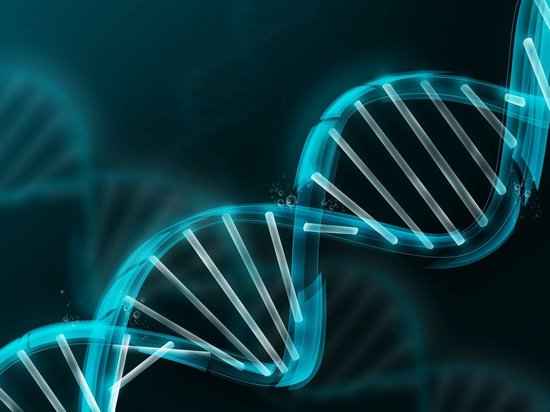 Китайские ученые впервые изменили геном человека