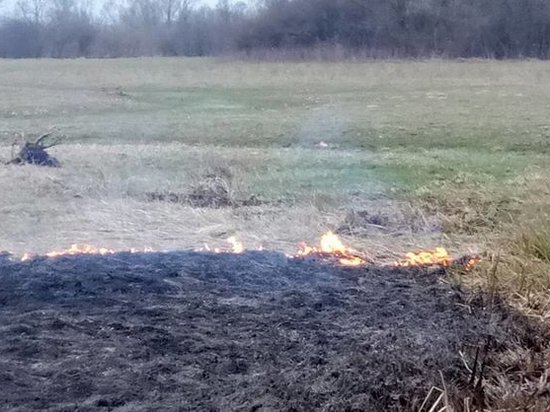 Долина нарциссов в огне. Уникальный украинский заповедник частично выгорел (фото)