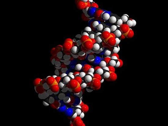 В Великобритании впервые выдали лицензию на создание эмбрионов из ДНК 3 человек