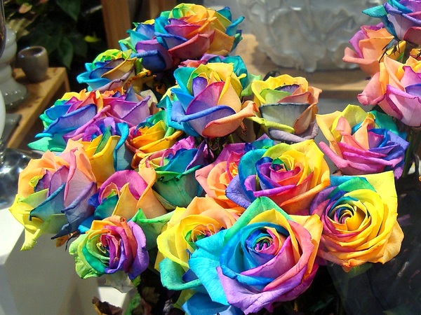 Самые невероятные и красивые цветы в мире