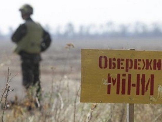 Британские саперы назвали самые заминированные места на Донбассе